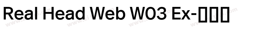 Real Head Web W03 Ex字体转换